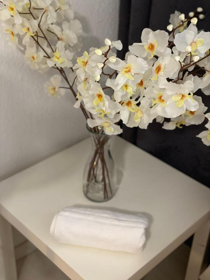 Central Shared Apartment, Friesenplatz Kolonia Zewnętrze zdjęcie